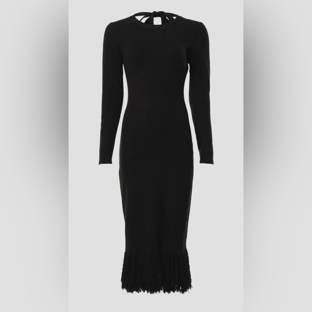 Eudon Choi Long Sleeve Black Knit Fringe Dress - Picture 3 of 9